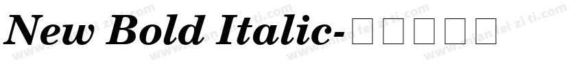 New Bold Italic字体转换